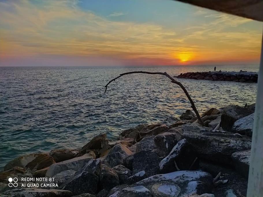 Casa Vacanze Marina Di Pisa Catola Zewnętrze zdjęcie