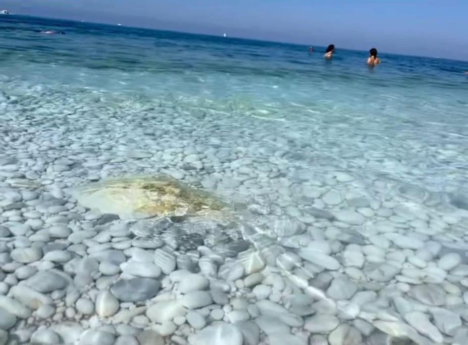Casa Vacanze Marina Di Pisa Catola Zewnętrze zdjęcie